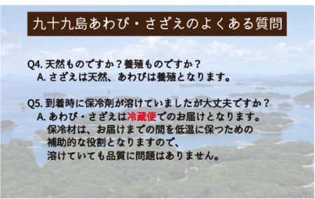 九十九島あわび(1,200g)･さざえ(1,200g)