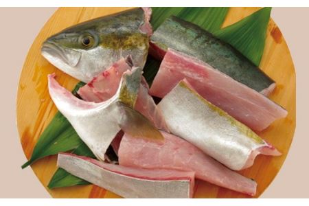 五島列島ひらまさ切身アラ(粗)詰め合わせ