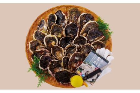 夏が旬！芳醇なコク】九十九島 岩がき 「中夏(ちなつ)」生食可 3.5kg