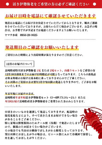 長崎県産特大活き伊勢海老1尾
