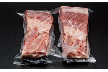 長崎県産豚バラブロック500g2本