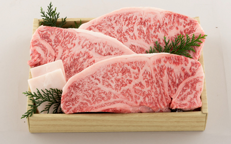 長崎和牛ロース肉ステーキ(3枚)