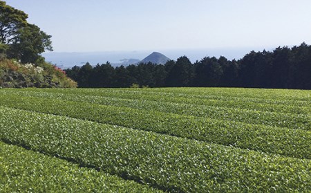 黄綬褒章受章有機緑茶と三川内焼茶香炉セット