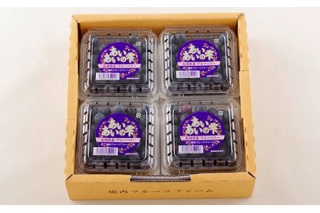 【収穫日に即日出荷】生ブルーベリー ｢あいあいの雫｣ 800g (100g×8パック) 小分けで嬉しい 【堀内フルーツファーム】 ブルーベリー収穫後即日配送 農家直送 産地直送 小分け