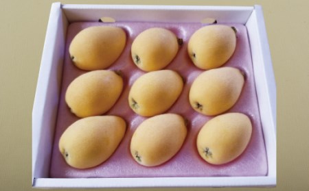 長崎温室栽培びわ(2L･Lサイズ500g)