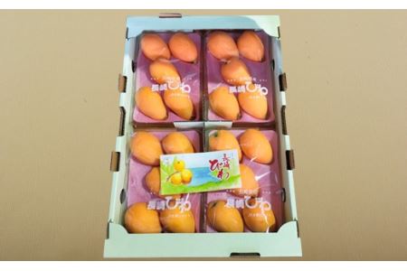 長崎温室栽培びわ(2L・L・Mサイズ1,000g)