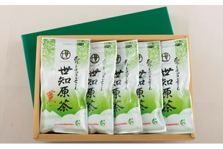 世知原茶「薫」5本セット