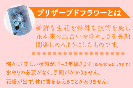 【母の日ギフト】バラの花を中心としたプリザーブドフラワーアレンジ 母の日プレゼント ギフト【西九州させぼ地域商社】