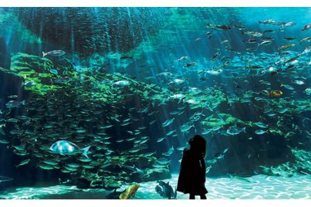 九十九島満喫コース2.5時間1名～2名様