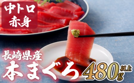 長崎県産 本マグロ (中トロ・赤身) 計480g以上 海鮮丼のタレ付き【本家永松家】 冷凍 真空パック マグロ まぐろ 鮪 中トロ 中とろ 赤身 刺身 海鮮丼 A131p