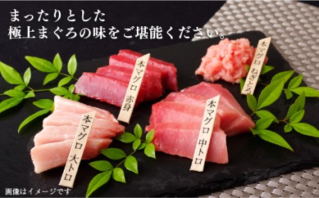 《定期便》長崎県産本まぐろ(中トロ･赤身)480g以上【3回お届け】