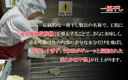 《定期便》極上ひもの｢雅｣津田水産【6回お届け】