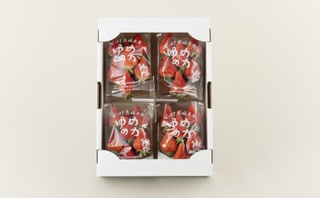 ゆめのか(いちご)