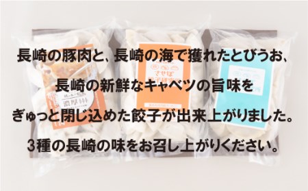 〈させぼ餃子研究所〉させぼ餃子ヘルシーセット