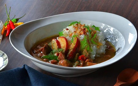 〈平戸松山窯〉みかわちカレー皿(象)