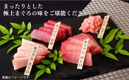 長崎県産 本マグロ (大トロ・中トロ・赤身) 計800g以上 海鮮丼のタレ付き【本家永松家】 冷凍 真空パック マグロ まぐろ 鮪 大トロ 大とろ 中トロ 中とろ 赤身 セット 刺身 海鮮丼 A143p