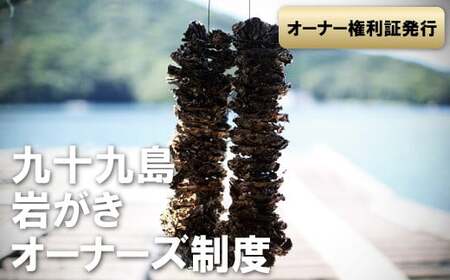 九十九島岩がきオーナーズ制度（2026年夏お届け）生食可（40個以上保証）【マルモ水産】岩牡蠣 オーナー おすすめ岩牡蠣 高評価岩牡蠣 人気岩牡蠣 岩牡蠣 岩かき 岩ガキ
