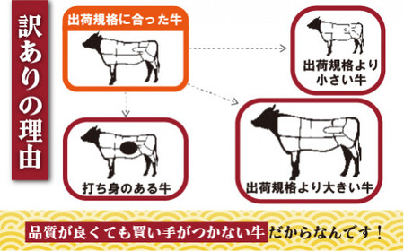 期間･数量限定訳あり長崎県産和牛切り落とし(1,000g)