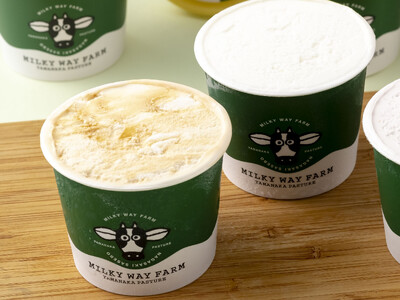 【大人気！】山中牧場〈MILKY WAY FARM〉ジェラート(12個) 搾りたて 生乳  アイス ミルク 牛乳 チョコレート 世知原茶 お茶 緑茶 ベルギーチョコレート 濃厚 新鮮 季節 アイスジェラート 牧場 直営