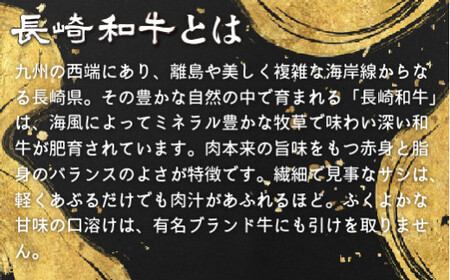 長崎和牛 A5等級 シャトーブリアン (120g×3枚) シャトーブリアン【田中精肉店】 