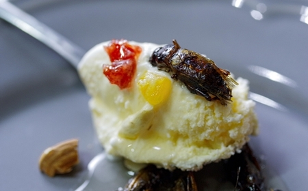 すぐ食べられる｢昆虫食｣(8袋)