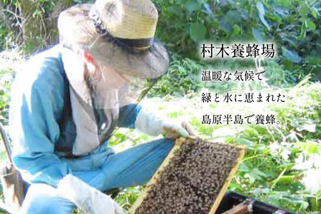 CH075 国産はちみつ 250g×3本セット（百花蜜2本・はぜ蜜1本）[ 国産 甘い はちみつ 蜂蜜 村木養蜂場 長崎県 島原市 ]