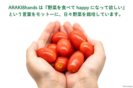 AH067【小分けでうれしい♪】アイコトマト2.4kg(200g×12袋)