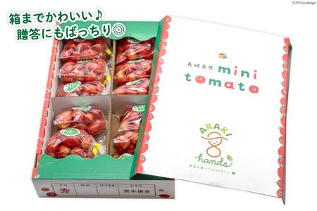 AH067【小分けでうれしい♪】アイコトマト2.4kg(200g×12袋)