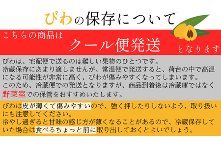 AH093 【先行受付】長崎県産 ハウスびわ 約500g 化粧箱入り