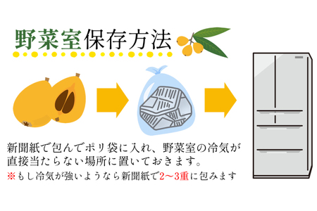 AH093 【先行受付】長崎県産 ハウスびわ 約500g 化粧箱入り 【 フルーツ 果物 くだもの びわ ビワ 枇杷 数量限定 季節限定 初夏 冷蔵 長崎県 島原市 】