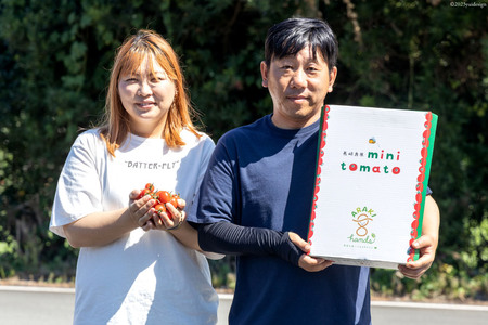 AH114宝石のように輝くトマト プレミアムルビー3kg 【 島原市 トマト 農家直送 】