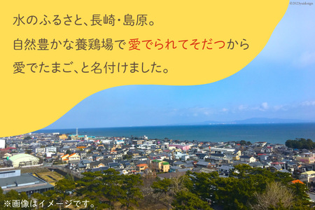 AH060 愛でたまご３種セット【 たまご 卵 長崎県 島原市 養鶏場 直送 】レビューキャンペーン