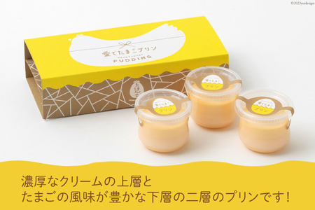 AH057 愛でたまご２種＆愛でたまごプリンセットB 【 プリン 卵 たまご 自家製 冷蔵 長崎県 島原市 】