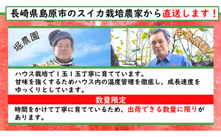 AH094 ハウス栽培 長崎小玉スイカ ひとりじめ 2玉 4kg以上【 果物 くだもの フルーツ スイカ すいか 西瓜 数量限定 長崎県産 長崎県 島原市 】