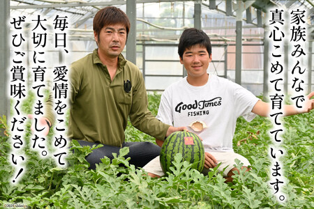 AH167【令和8年度出荷分】絶品！大玉スイカ 〜 羅皇（ ラオウ ）〜（ L/2Lサイズ 6kg以上 ）[ 長崎県 島原市]