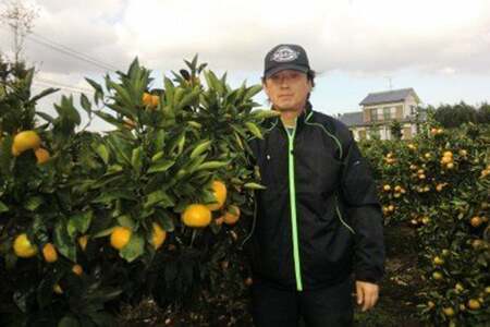 BC002 森崎果樹園自慢のスイートスプリング（10kg）[ 長崎県 島原市 ]