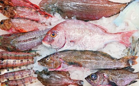 AA036プリッと身が引き締まった 島原の海の幸セット