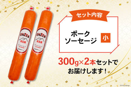 AI002 雲仙ハム ソーセージ小 300g×2本 【 絶品 人気 ハム ウインナー ソーセージ おつまみ 肉 お弁当 おかず 小分け 便利 国産 豚肉 お歳暮 お中元 長崎県 島原市 送料無料 】 レビューキャンペーン