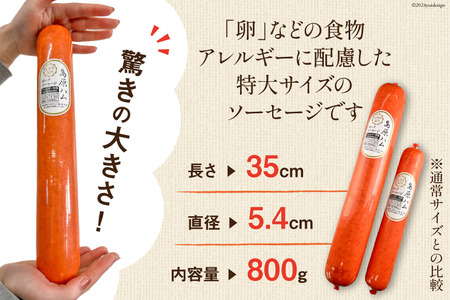 AI064 特大！ 島原ハム ポークソーセージ 800g×2本 セット [長崎県 島原市] レビューキャンペーン