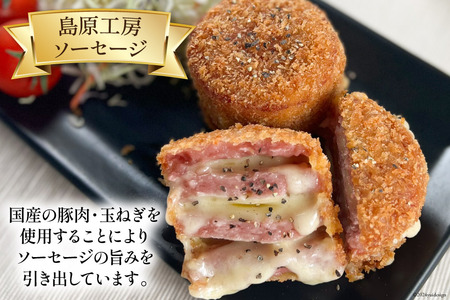 AI066 特大！ ソーセージ 2種2本 食べ比べ セット（島原ハムポークソーセージ800g×1本 島原工房ソーセージ770g×1本） [ ハム ソーセージ 肉 豚肉 おつまみ 国産 長崎県 島原市 ] レビューキャンペーン