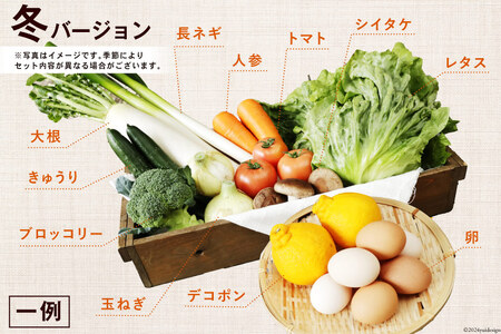 AD038【定期便】野菜・フルーツ・卵　旬のお任せセットA　年12回お届け