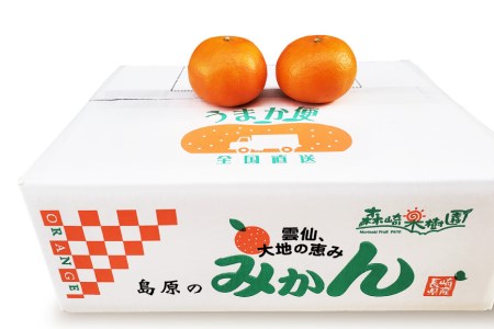 AD021 森崎果樹園自慢の『麗紅（れいこう）』5kg [みかん ミカン れいこう 麗紅 5キロ 果物 森崎果樹園 長崎県 島原市]