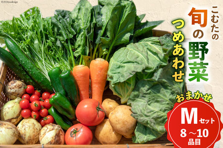 AI022【10～5月限定出荷】こむたの旬の野菜つめあわせ(8～10品目)おまかせ M セット 【 野菜 やさい 旬 種類 人気 オススメ 新鮮 詰め合わせ こむた 小無田 青果 長崎県 島原市 】