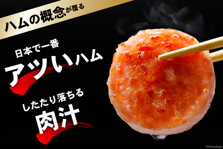 CI241 雲仙ハム ソーセージ ハム 各1本 計2本 各300g [長崎県 島原市] レビューキャンペーン