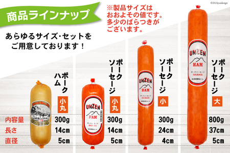 CI241 雲仙ハム ソーセージ ハム 各1本 計2本 各300g [長崎県 島原市] レビューキャンペーン