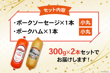 CI241 雲仙ハム ソーセージ ハム 各1本 計2本 各300g [長崎県 島原市] レビューキャンペーン