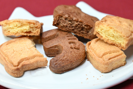 【2026年2月より順次発送】 AI193 クッキー 9枚 1缶 [ 長崎県 島原市 ]