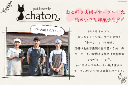 【2026年2月より順次発送】 AI185 スフレチーズケーキ 2個 セット [ 長崎県 島原市 ]