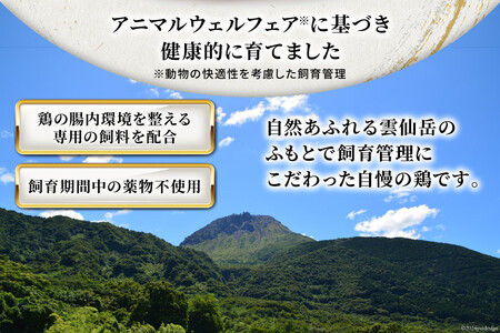 BI082 鶏肉 雲仙しまばら鶏 もも肉 260g 6袋 計1.56kg [長崎県 島原市] レビューキャンペーン