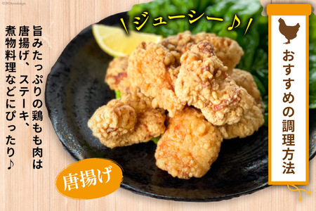 BI082 鶏肉 雲仙しまばら鶏 もも肉 260g 6袋 計1.56kg [長崎県 島原市] レビューキャンペーン